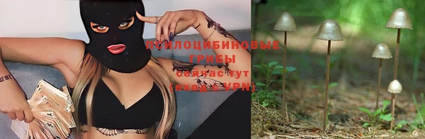 ECSTASY Балахна