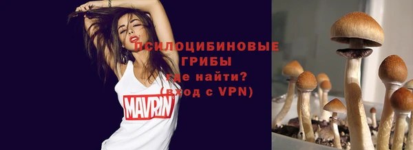 ECSTASY Балахна
